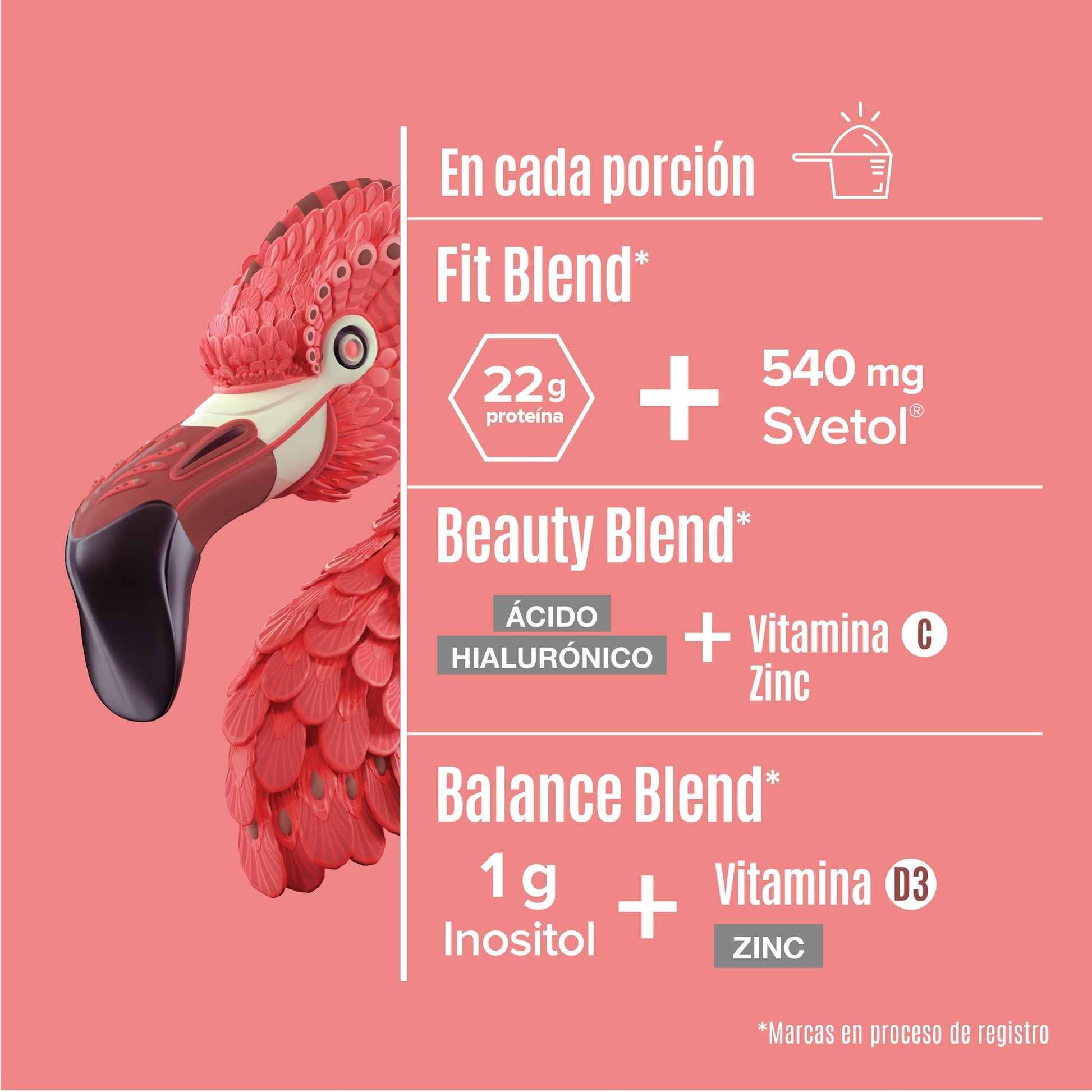 Fitmingo Blueberry 1.02kg