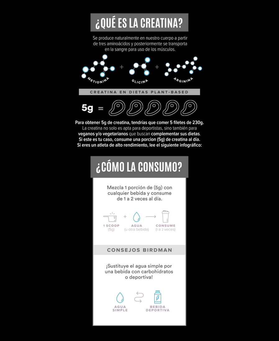 Birdman Creatina 450gr