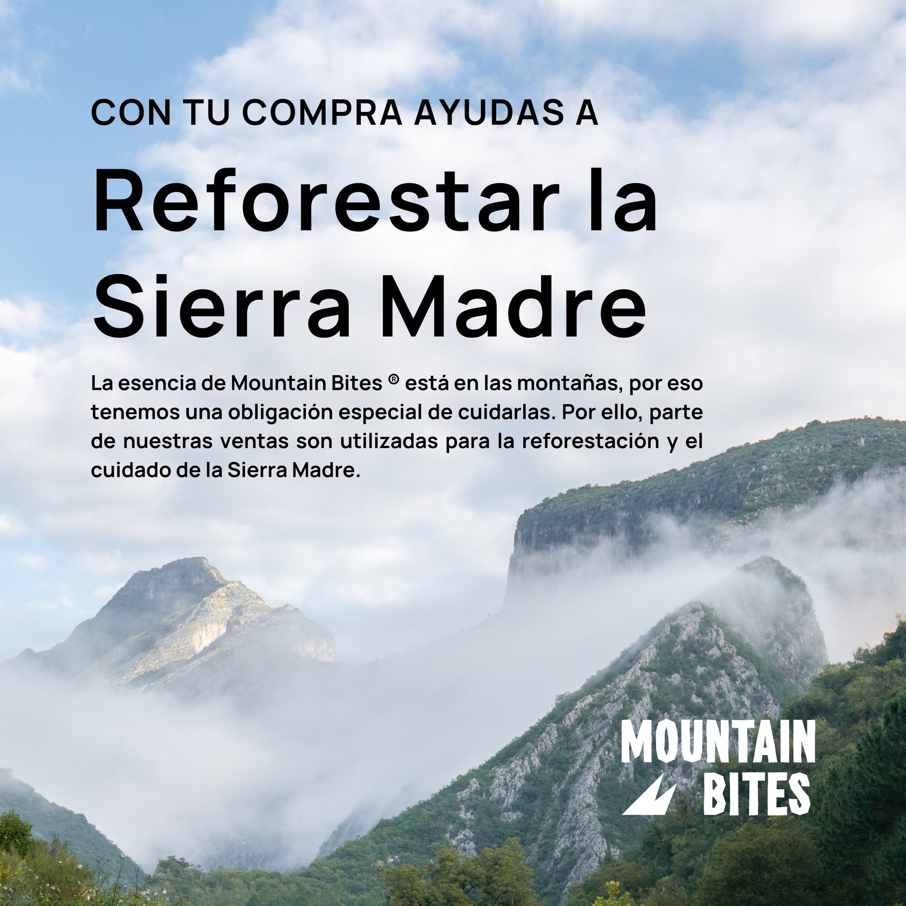 Mountain Bites Summit Bar Coffee Chocolate 55g