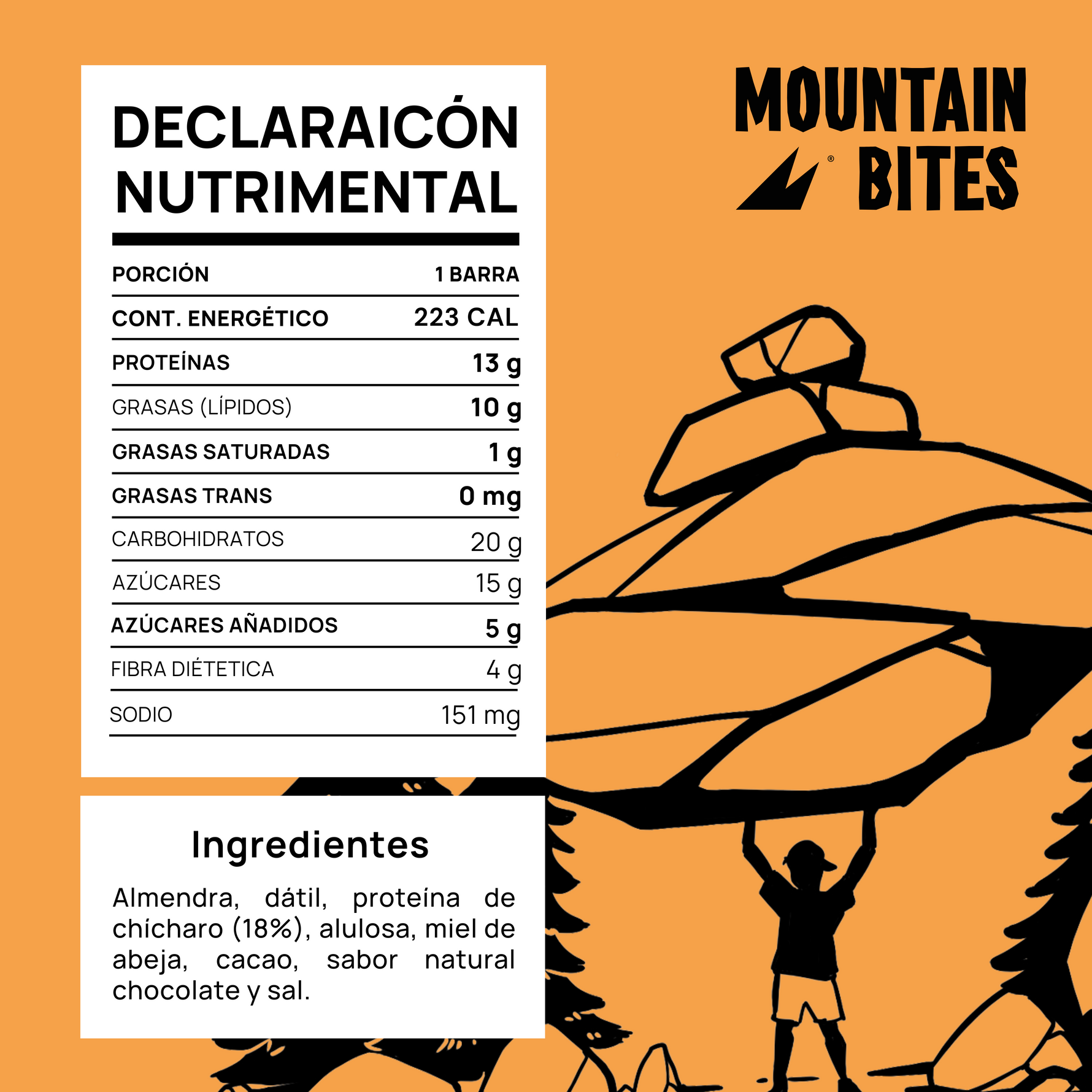 Mountain Bites Summit Bar Chocolate Fudge 55g