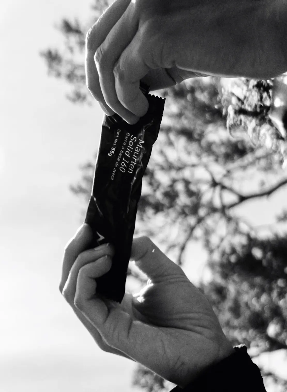 Texto alternativo de imagen