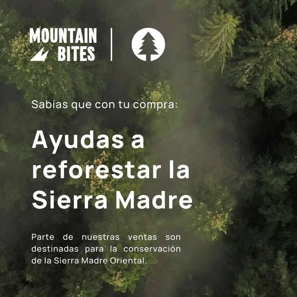 Mountain Bites Summit Bar Peanut Butter 55g
