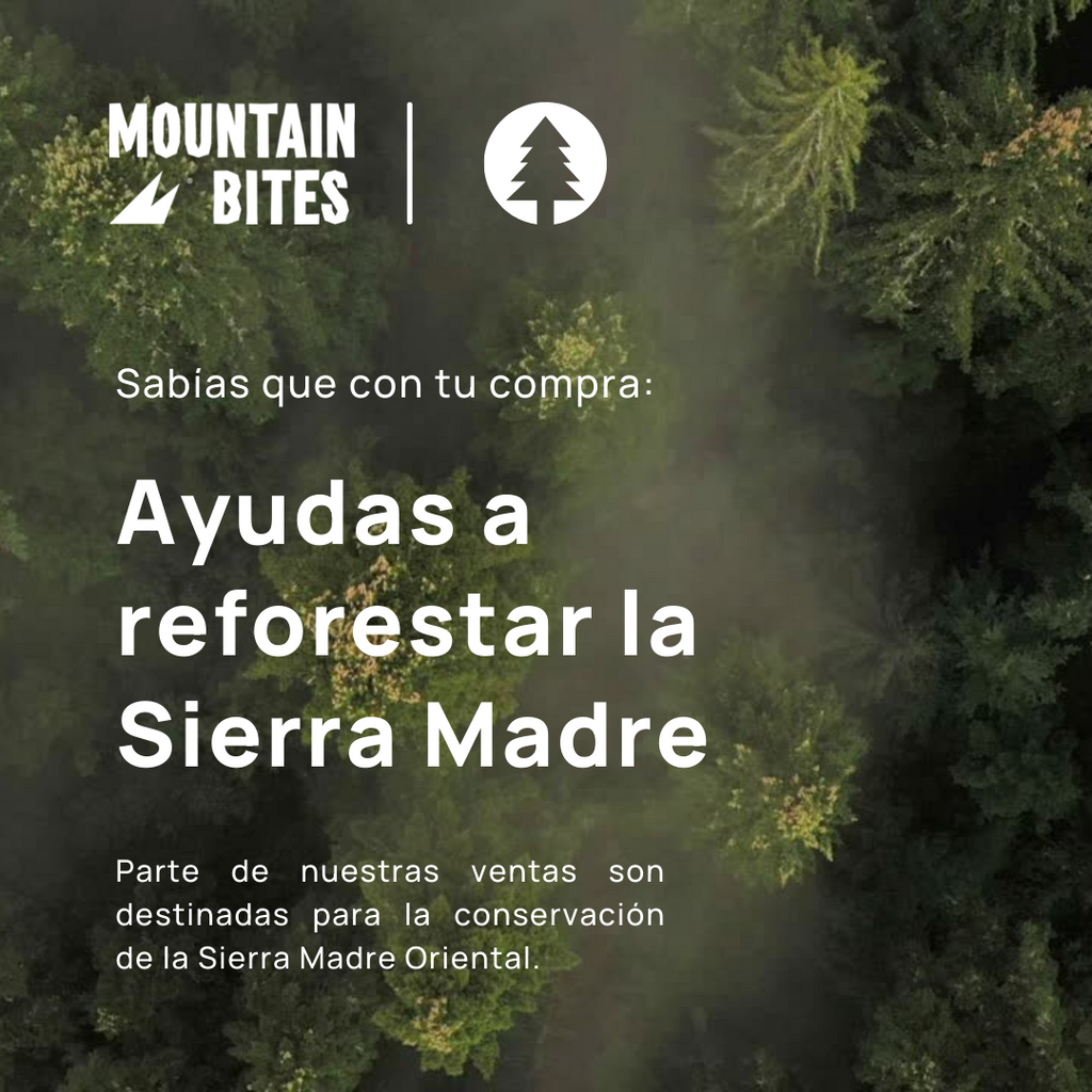 Mountain Bites Summit Bar Mix 55g C/10pzs