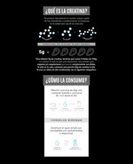 Birdman Creatina 450gr